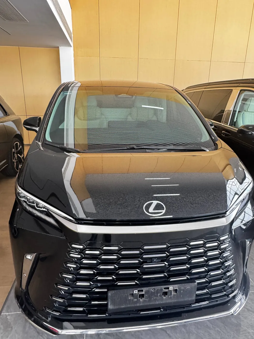 2025 Lexus LM/雷阿法
